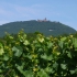 Festung Haute Koenigsbourg