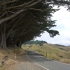 Otago Peninsula