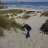 Sandfly Bay