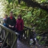 Purakaunui Falls