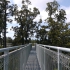 Westcoast Treetop Walk