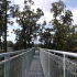 Westcoast Treetop Walk