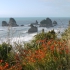 Motukiekie Beach