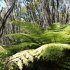 Abel Tasman National Park