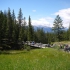 Maligne Canyon