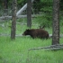 Icefields Parkway