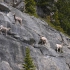 Icefields Parkway