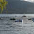 Osoyoos - Nk'mip Campground - Badeinseln