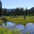 Manning Park - Beaver Pond Nature Trail