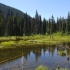 Manning Park - Beaver Pond Nature Trail