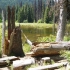 Manning Park - Beaver Pond Nature Trail