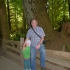 Cathedral Grove