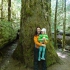 Cathedral Grove