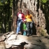 Cathedral Grove