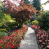 Butchart Gardens