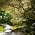 Butchart Gardens - Japanischer Garten