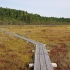 Soomaa Nationalpark - Riisa-Moor