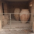 Knossos