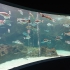 CretAquarium