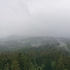Neuschönau - Waldwipfelweg