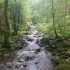 Saußbachklamm