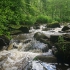 Saußbachklamm