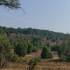 Lüneburger Heide - Kutschfahrt - Steingrund