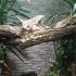 Reptilienzoo