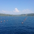 Subaquatic