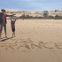 Dune du Pilat