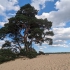 Hoge Veluwe