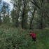 Nationalpark De Biesbosch