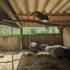 Zoo de Lagos