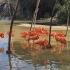 Zoo de Lagos