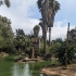 Zoo de Lagos
