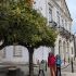 Faro