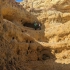 Algar Seco