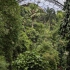 Eden Project
