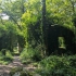 Kennall Vale Nature Reserve