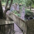 Kennall Vale Nature Reserve