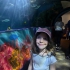 SeaLife Weymouth