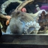 SeaLife Weymouth