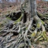 Wehlener Grund