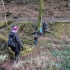 Wehlener Grund