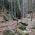 Wehlener Grund