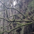 Wehlener Grund
