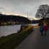 Stadt Wehlen
