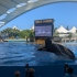 Loro Parque