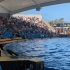 Loro Parque