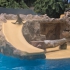Loro Parque